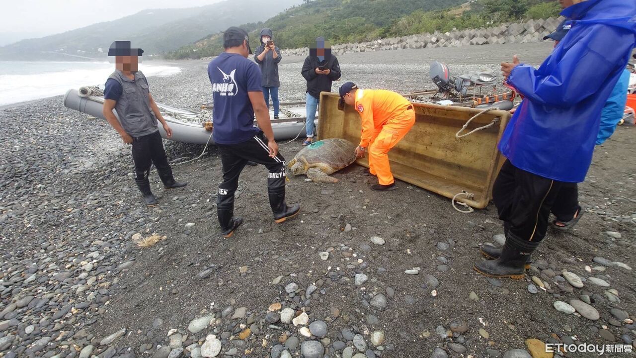 熱心漁友發現受困海龜　海巡與海保署協力救援順利野放