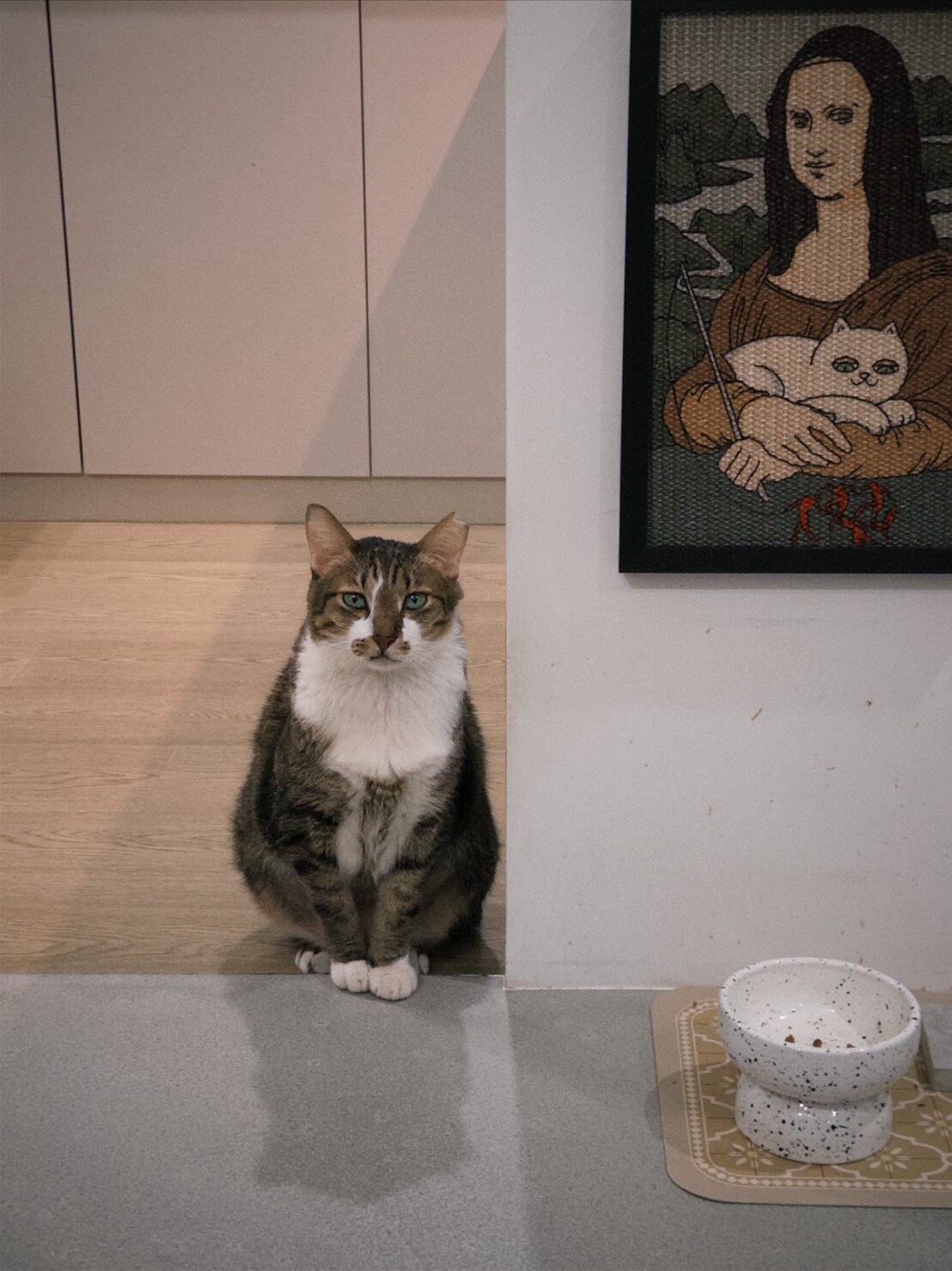 ▲高纖飲食超有效！萌貓醞釀「巨作」　奴才一量：便便長達30公分。（圖／花生放送＠peanut.watson提供，請勿隨意翻拍，以免侵權。）