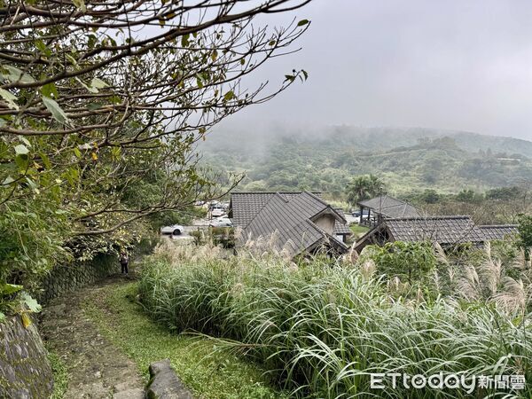 ▲陽明山冷水坑公共溫泉浴室將於12月9日起封閉整修,冷水坑戶外泡腳池。（圖／記者彭懷玉攝）