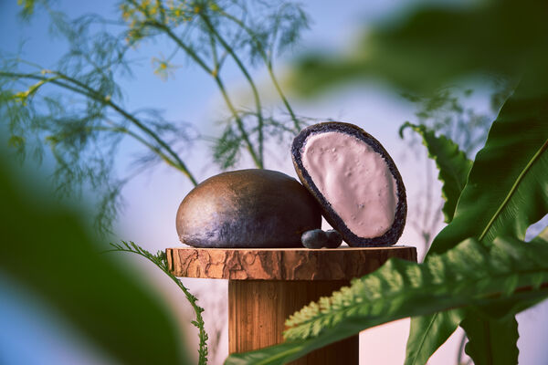 ▲▼全球獨家「吉伊卡哇版延世大學藍莓優格風味生乳包」在7-ELEVEN開賣。（圖／SUNFRIEND MOUTH提供）