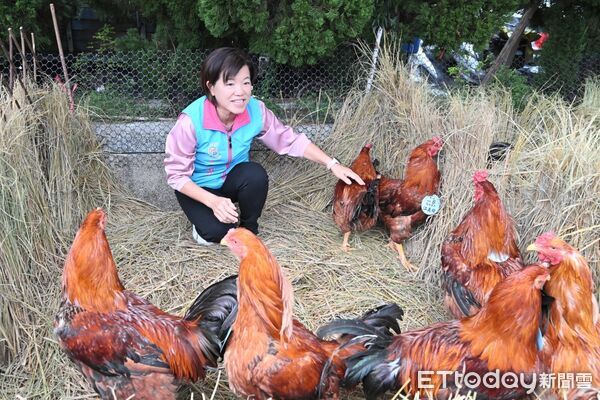 ▲▼吉安鄉客家文化藝術節系列活動3日在五穀宮廟埕盛大開幕。（圖／吉安鄉公所提供，下同）