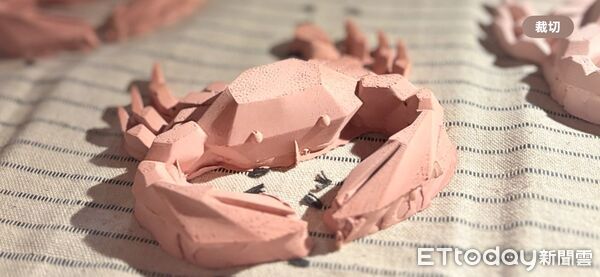 ▲▼花蓮分署與紅葉社區發展協會共同舉辦「柳杉香氛」成果發表會。（圖／花蓮分署提供，下同）