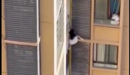 短裙女疑躲正宮 「高樓爬牆躲隔壁」全錄影