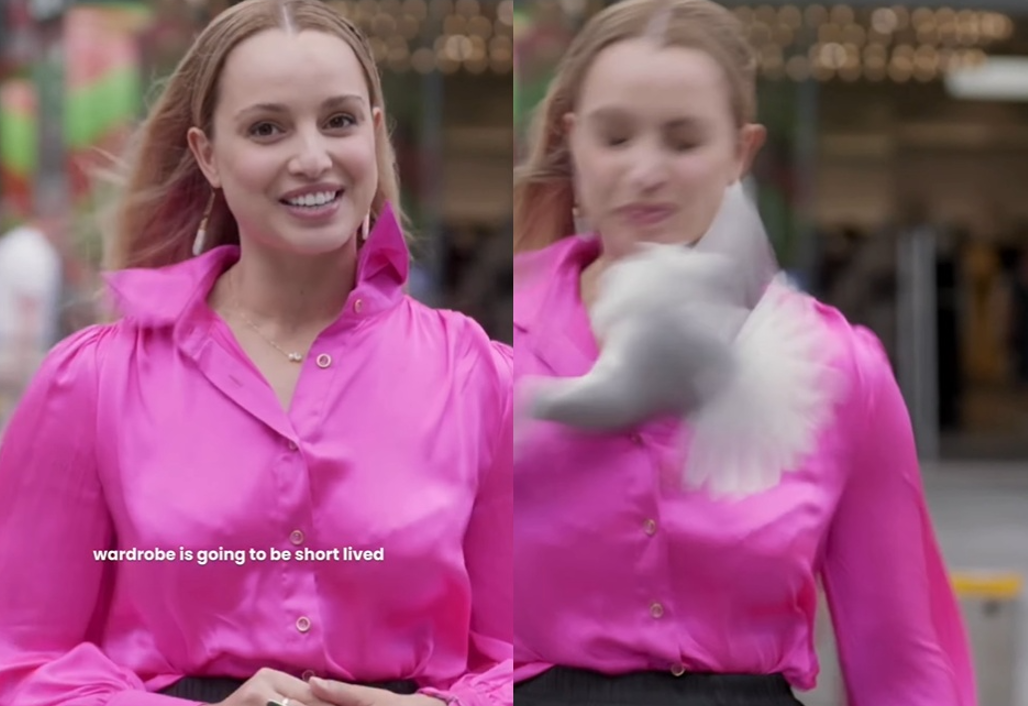 女記者播報遭「暴走海鷗」高速撞臉　眼角瞬間噴血全被拍