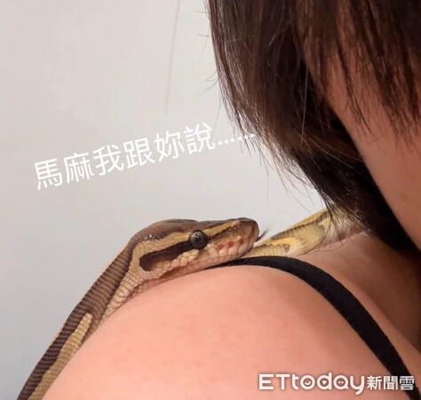 ▲。（圖／Threads@shintian0202提供，請勿隨意翻拍，以免侵權。）