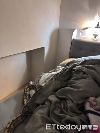 ▲。（圖／Threads@shintian0202提供，請勿隨意翻拍，以免侵權。）