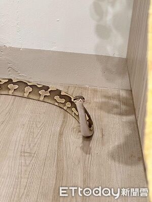 ▲。（圖／Threads@shintian0202提供，請勿隨意翻拍，以免侵權。）