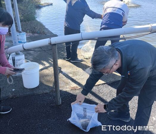 ▲▼鯛魚排禁藥證實烏龍。（圖／記者游瓊華翻攝）