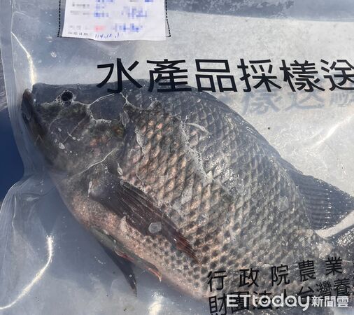 ▲▼鯛魚排禁藥證實烏龍。（圖／記者游瓊華翻攝）