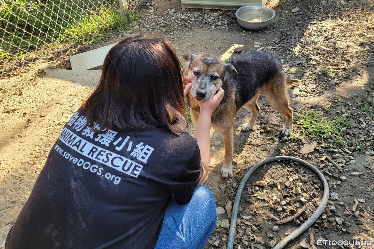 生命教育演出竟遭詐團盯上！　歌仔戲公益場被冒名徵人疑詐個資