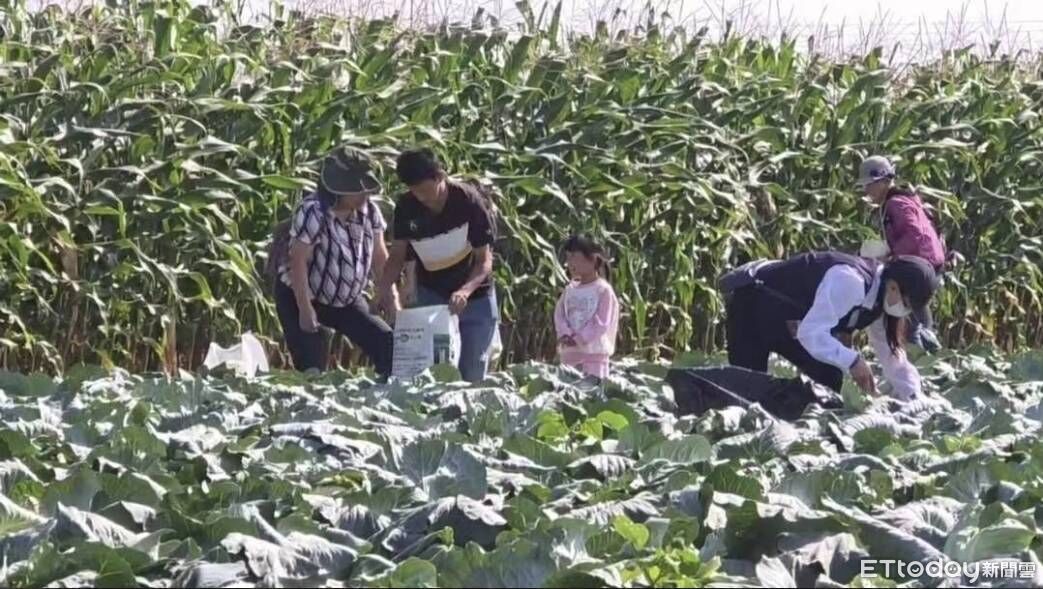 張啓楷12/5嘉義市公益送菜 挺農民免費送市民