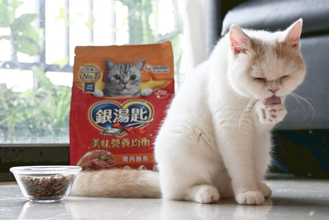 ▲▼日本,挑嘴貓,銀湯匙,乾糧。（圖／銀湯匙提供）
