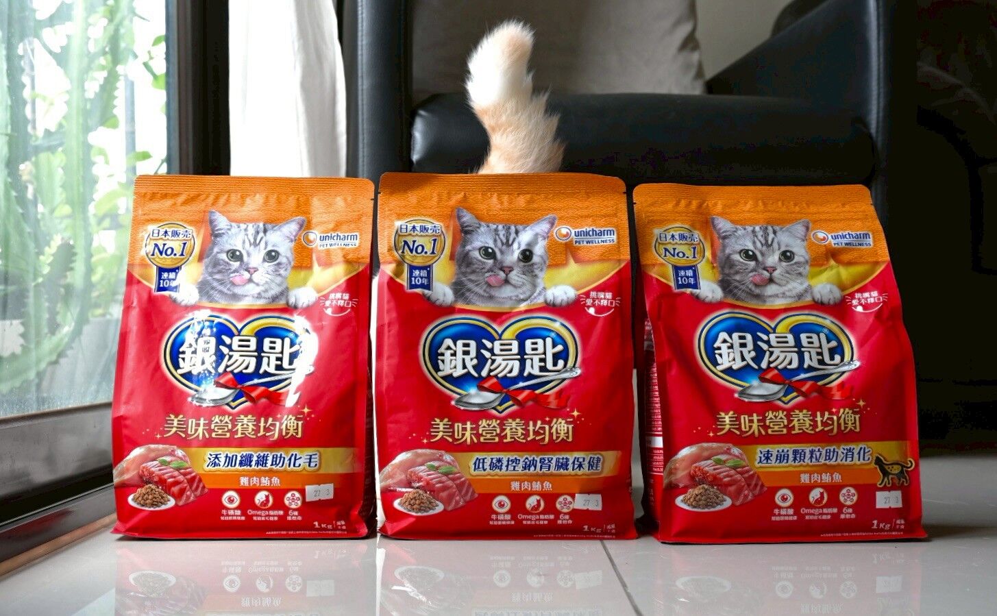 ▲▼日本,挑嘴貓,銀湯匙,乾糧。（圖／銀湯匙提供）