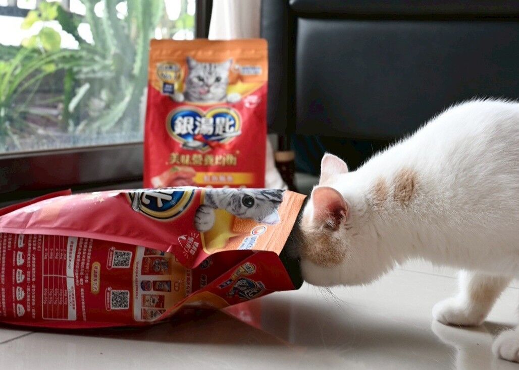 ▲▼日本,挑嘴貓,銀湯匙,乾糧。（圖／銀湯匙提供）