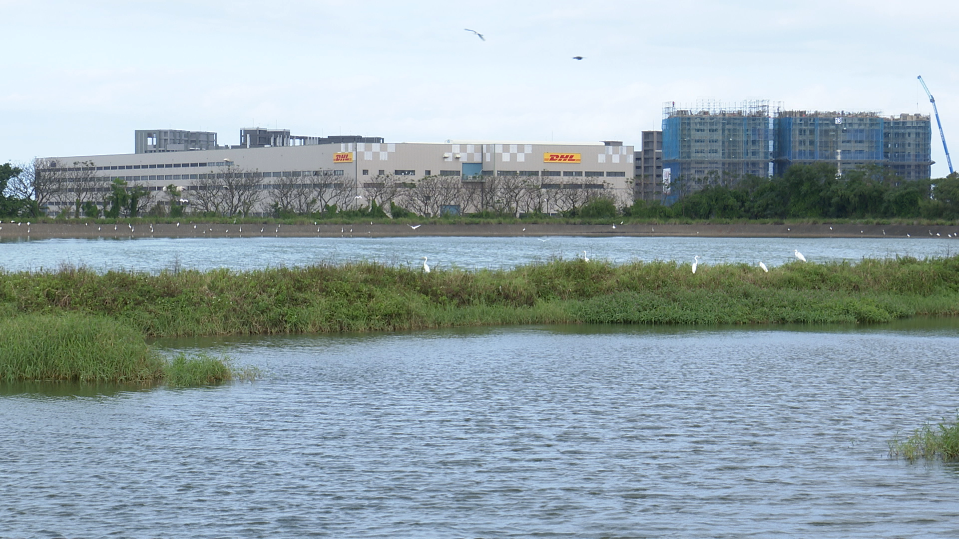 ▲▼桃園航空城計畫,客運園區,埤塘,店子埤。（圖／記者姜國輝攝）