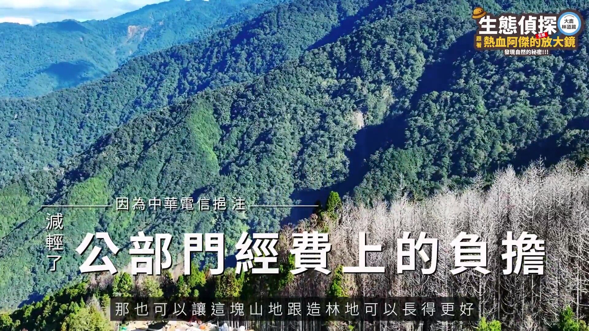 中華電信,大鹿林道,台灣擦樹,寬尾鳳蝶,植樹造林,生態復育,保育,ESG,綠色永續（圖／翻攝自影片）