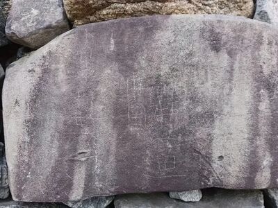 疑是中國遊客　高松城遺跡石牆被塗鴉「小日本」