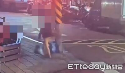 28歲女丟2貓屍！焚化爐又找到1大9小　住家飄腐屍味像命案現場