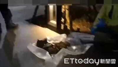 12隻貓屍當垃圾丟！28歲女推給分手男友　房東曝她已欠2個月房租