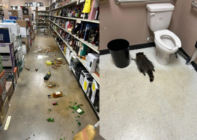 一開店酒瓶被打碎一地！　他在廁所找到「爛醉浣熊」