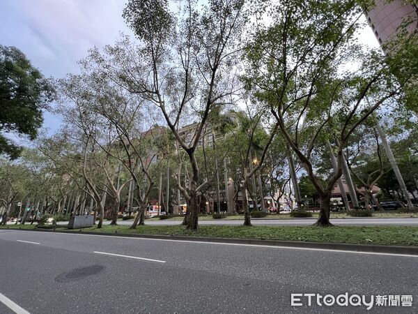 ▲▼     仁愛路四段        。（圖／記者項瀚攝）