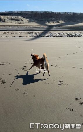▲。（圖／有點毛毛的/名叫星星的妳提供）
