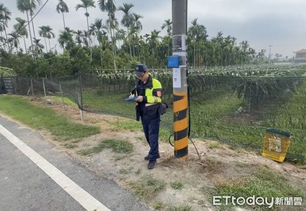 ▲蔡婦涉嫌偷火龍果被抓。（圖／記者陳崑福翻攝）