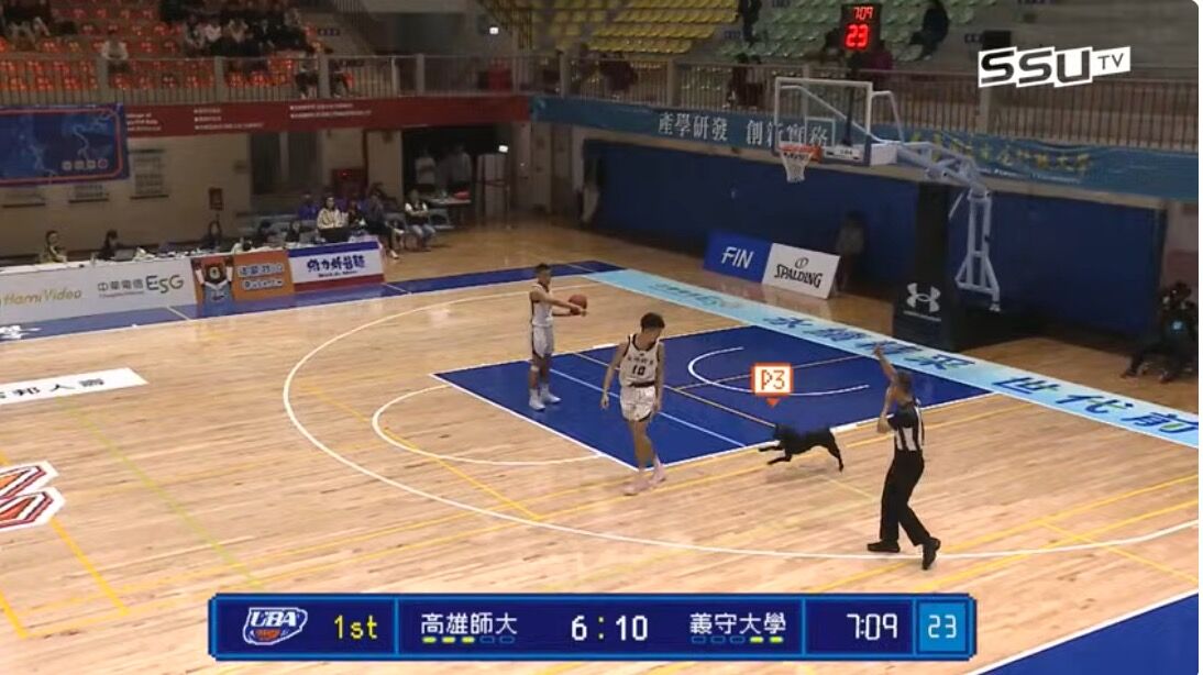 「歐告」亂入UBA球場咬粉紅鞋斜！　網揭心酸受虐故事