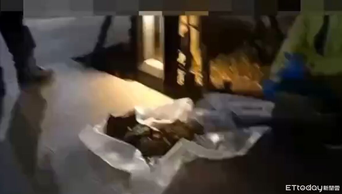 12隻貓屍當垃圾丟！28歲女推給分手男友　房東曝她已欠2個月房租