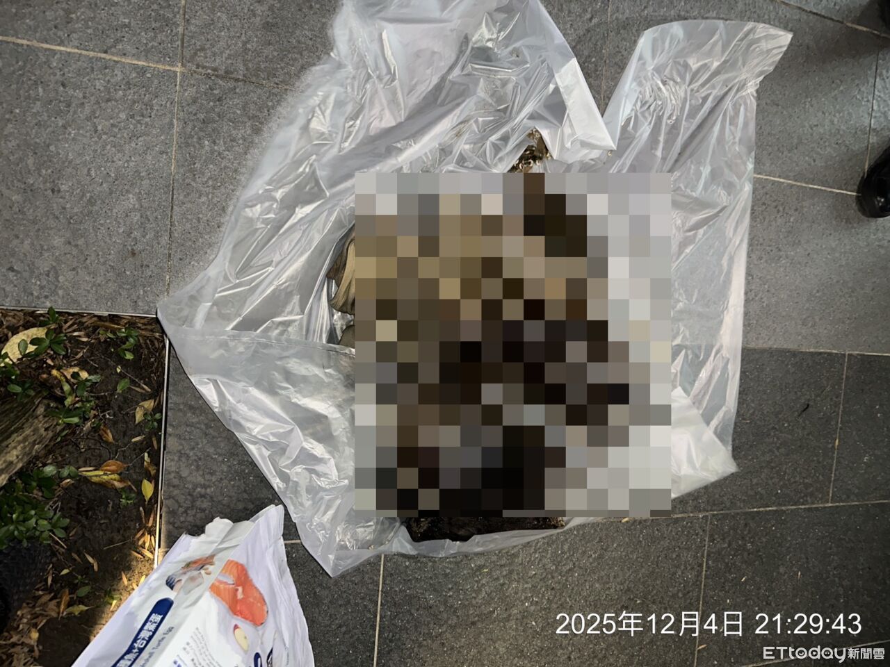 北市驚爆14貓命案！裝垃圾袋棄屍　許淑華心痛：上週才救出1狗4貓