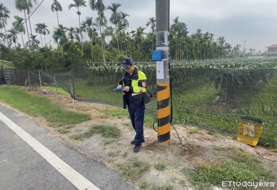 火龍果連日遭竊！屏東警清晨埋伏　逮獲68歲女賊騎腳踏車犯案
