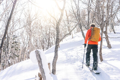 走4分到雪場　北海道富良野雪季開催
