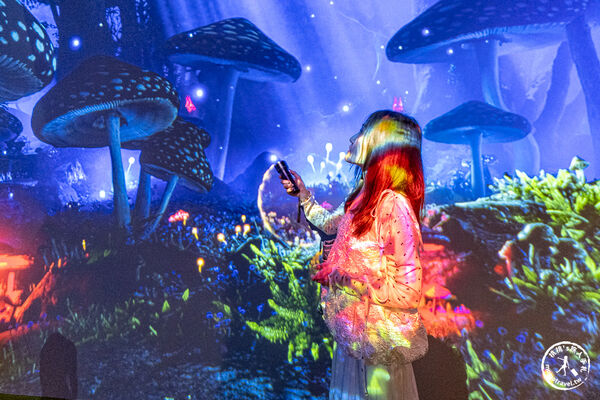▲▼台北展覽「愛麗絲拯救仙境：沉浸之旅」，微風廣場、交通、票價、展期、必看亮點推薦！（圖／部落客桃桃提供）