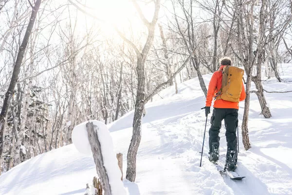 ▲Nozo Hotel與Whiteroom合作，提供課程及往返北之峰滑雪區和飯店的免費接駁車。（圖／業者提供）