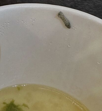 ▲▼愛雅吃外送驚見「白色活體異物」差點入口崩潰。（圖／翻攝自Instagram／aiyachang1988）