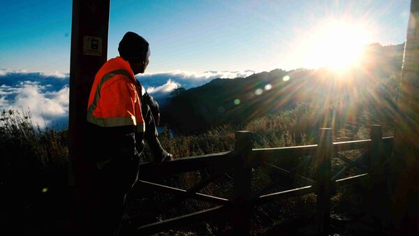 ▲《高山遊民》深入臺灣百岳拍攝，協作「阿共」曾是369山莊最寂寞的存在。（圖／海鵬提供）