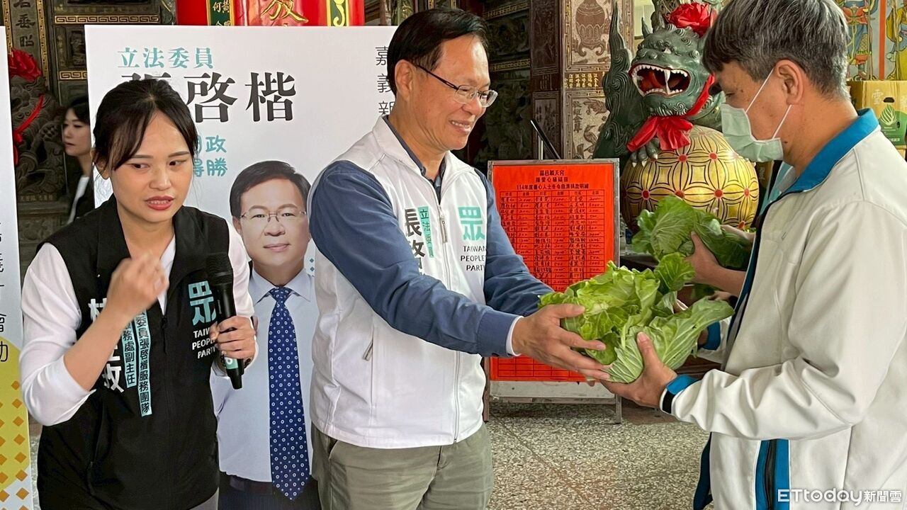 排隊的相親都有一顆高麗菜　張啓楷挺嘉義菜農做公益