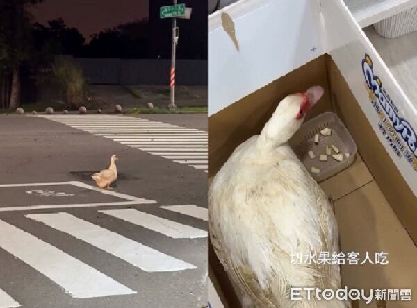 ▲。（圖／Threeads@yyyy.eyelash/提供，請勿隨意翻拍，以免侵權。）