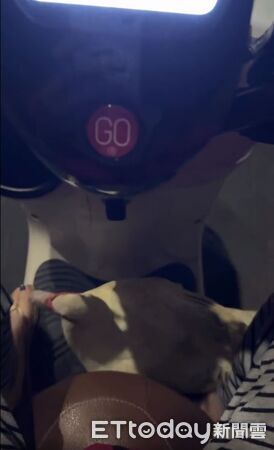 ▲。（圖／Threeads@yyyy.eyelash/提供，請勿隨意翻拍，以免侵權。）