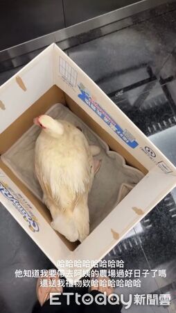 ▲。（圖／Threeads@yyyy.eyelash/提供，請勿隨意翻拍，以免侵權。）