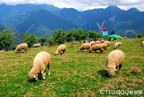 ▲雙子座流星雨 X 零光害星空！搭台灣好行「清境線」抵達合歡山暗空公園，解鎖4D星空饗宴。（圖／南投縣政府提供）