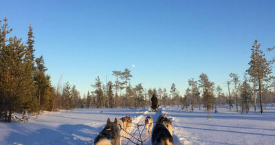 12生肖本周運勢來了！猴事業財運雙冠　這類人奪愛情榜首