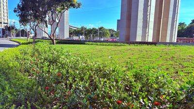 五股閒置地變身城市綠廊 新北打造綠意生活新風貌