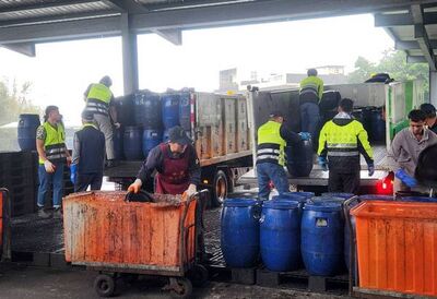 豬農拒收廚餘引發清運困擾 桃園環保局啟動緊急協助機制