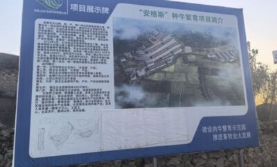 山東「安格斯養牛場」開業兩年不見半頭牛　遭爆盜採礦石牟利