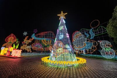 宜蘭議會變身光之森林　免費燈海到明年