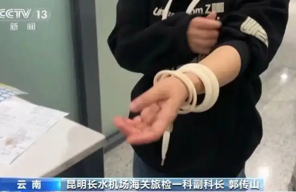 ▲▼ 女子走路怪異「下體鼓包」　海關清查驚呆：褲子藏2斤活蟲            。（圖／翻攝 央視）