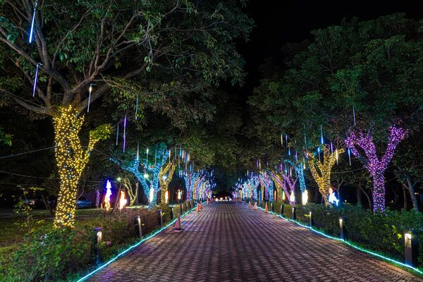 ▲▼宜蘭縣議會紅磚廣場聖誕燈海。（圖／翻攝自宜蘭勁好玩臉書專頁）