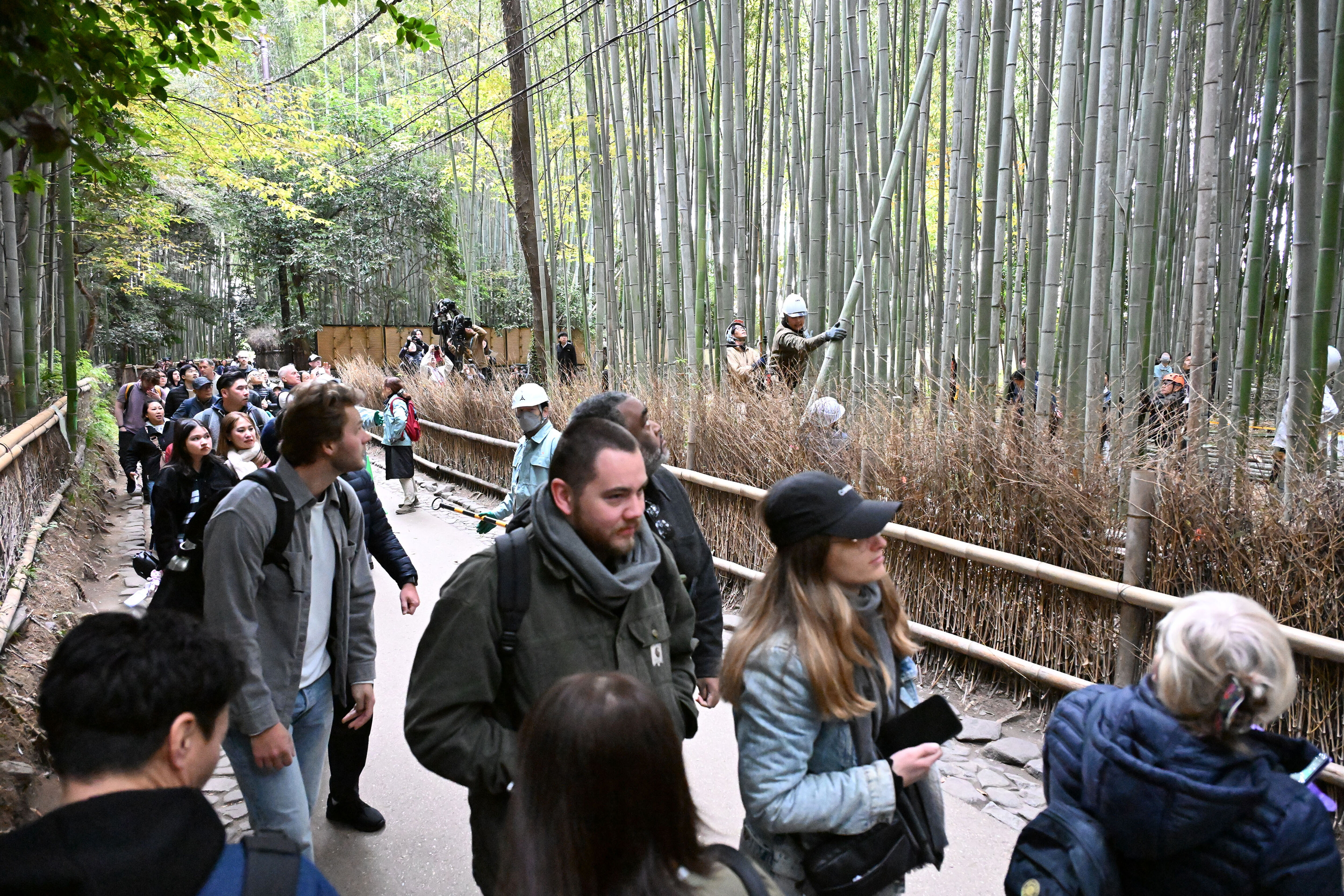▲▼日本京都嵐山「竹林小徑」。（圖／達志影像／美聯社）