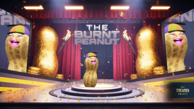 實況大獎「最佳VTuber」得主花生炎上　1句話遭網酸：他不該拿？